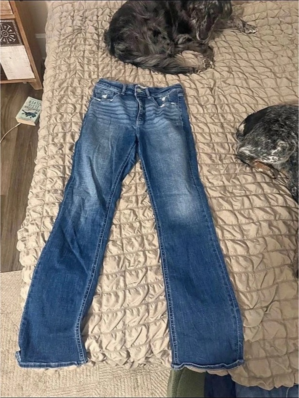 Buckle Black jeans
